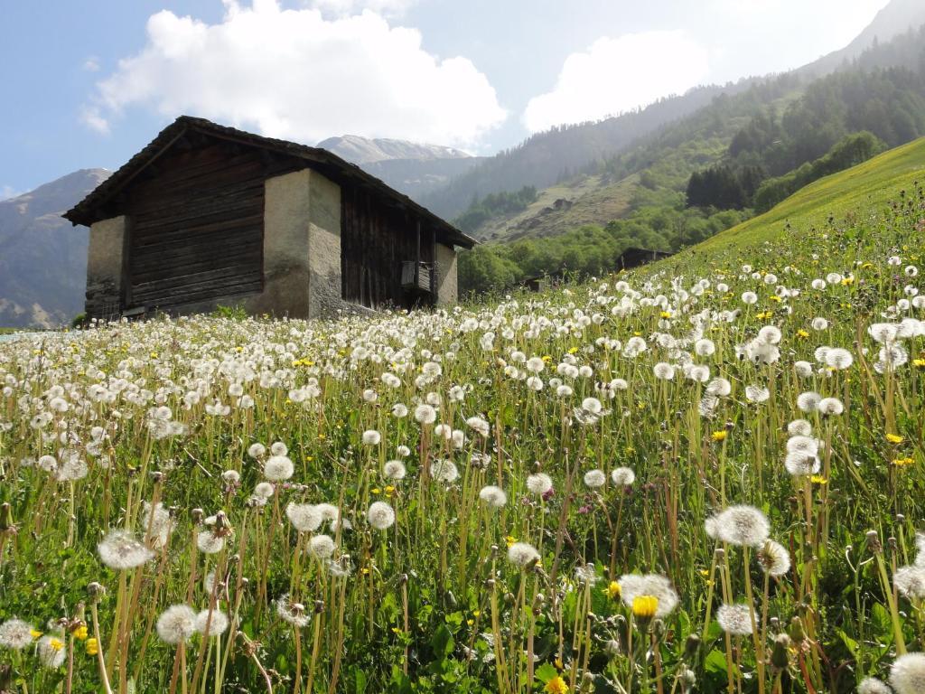 Ferienwohnung Mura Вальс Экстерьер фото
