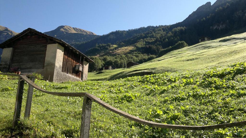 Ferienwohnung Mura Вальс Экстерьер фото